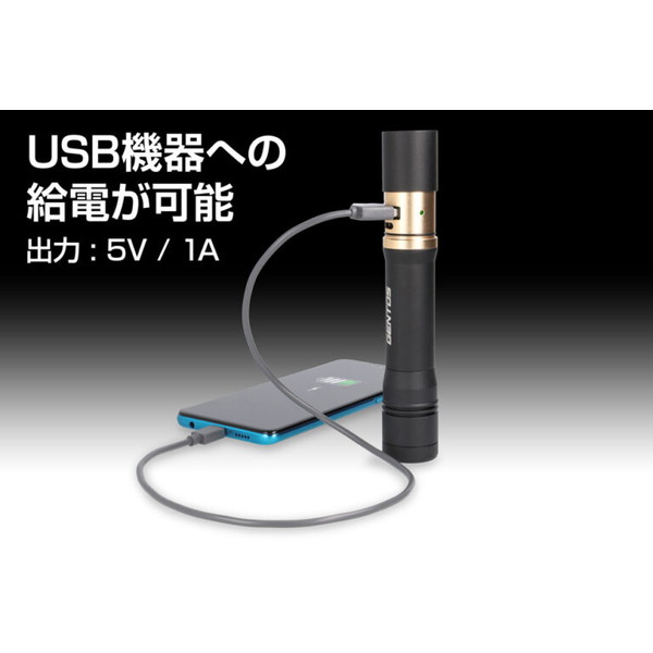 げんGENTOS LED 懐中電灯 USB充電給電 専用充RX-086PS Amazon | GENTOS(ジェントス) LED 懐中電灯 USB充電・給電