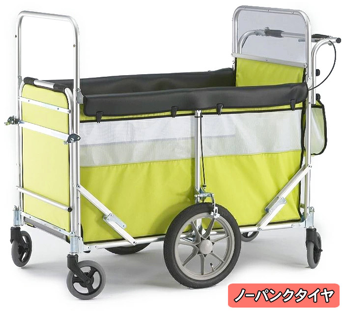 bik0027gn.jpg