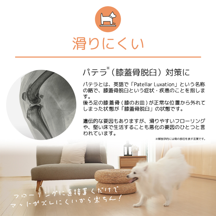 dfang ディパン ペットプレイマット【幅140cm 厚み5mm 折りたたみ