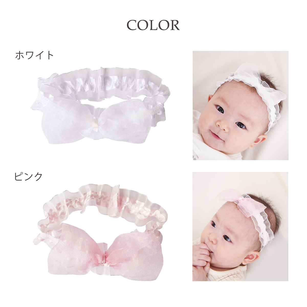 61909w_color.jpg