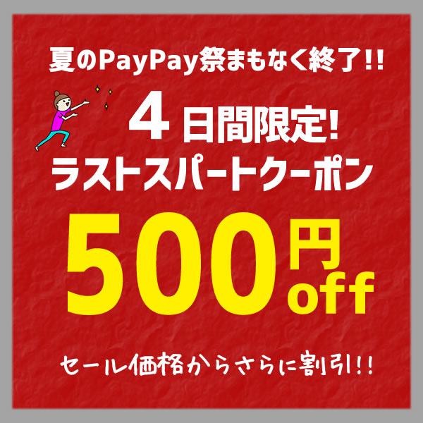 ベイビースキンソープの「ラストスパート【４日間限定】3,000円以上で使える「500円OFF」クーポン」のクーポン