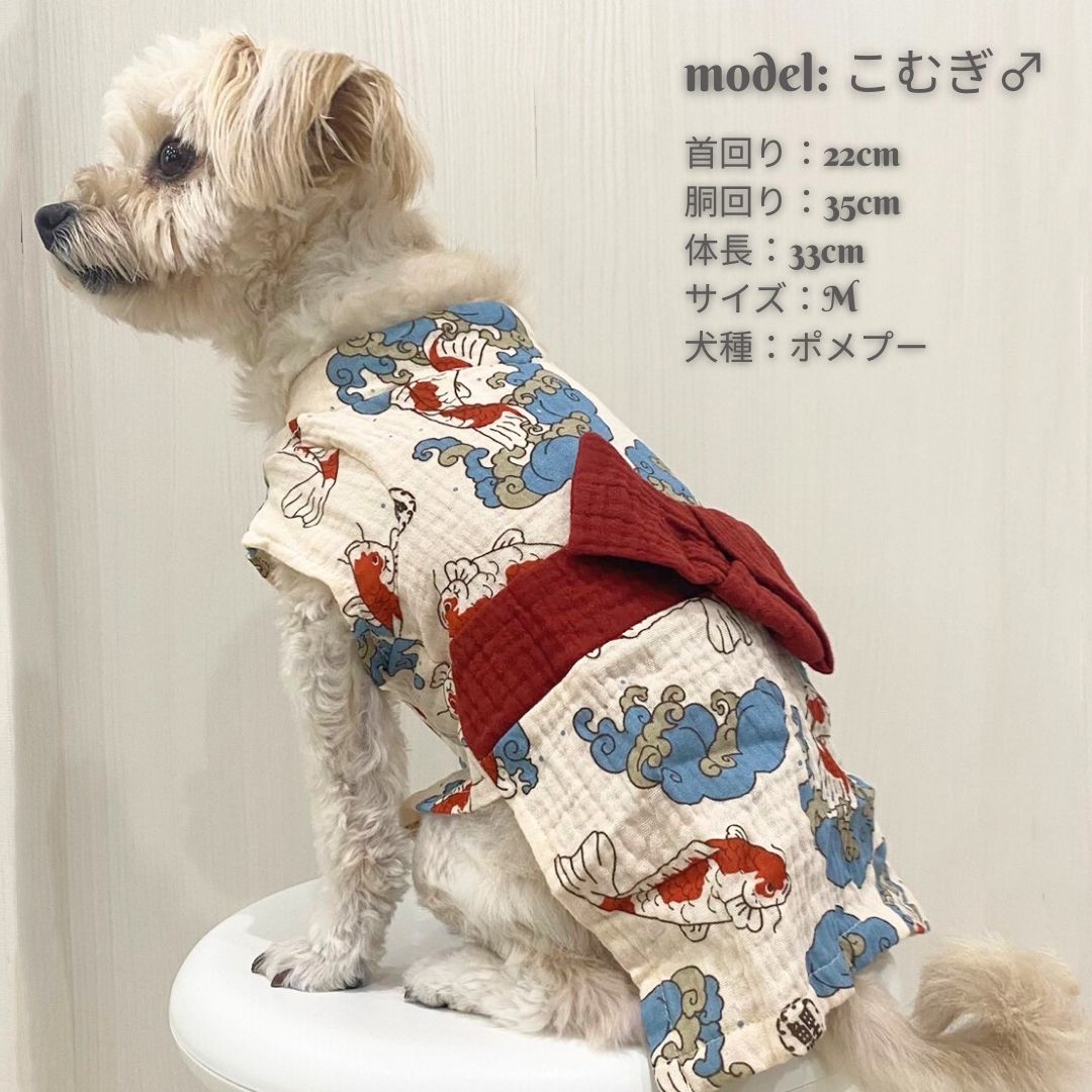 キャラクター犬服 3点セット gunze_21grd10b