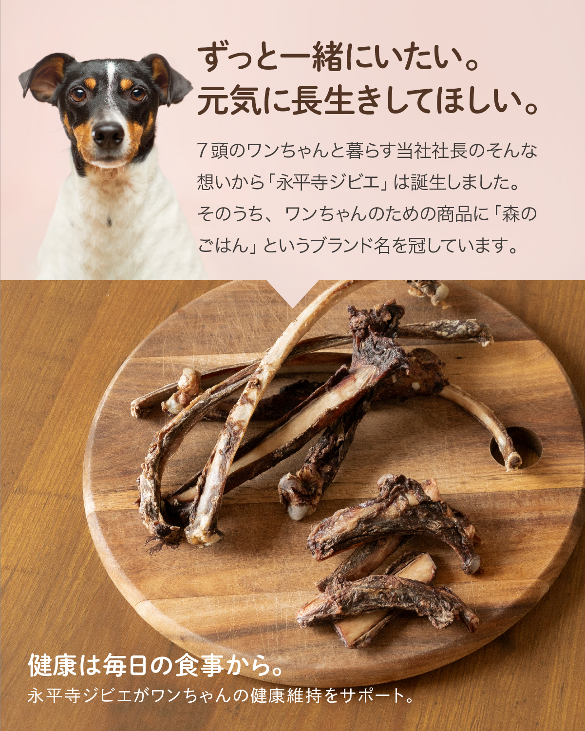 天然鹿のあばら骨｜犬用骨 歯磨きガム おやつとして ドッグフード 無添加デンタルボーン レッグボーン