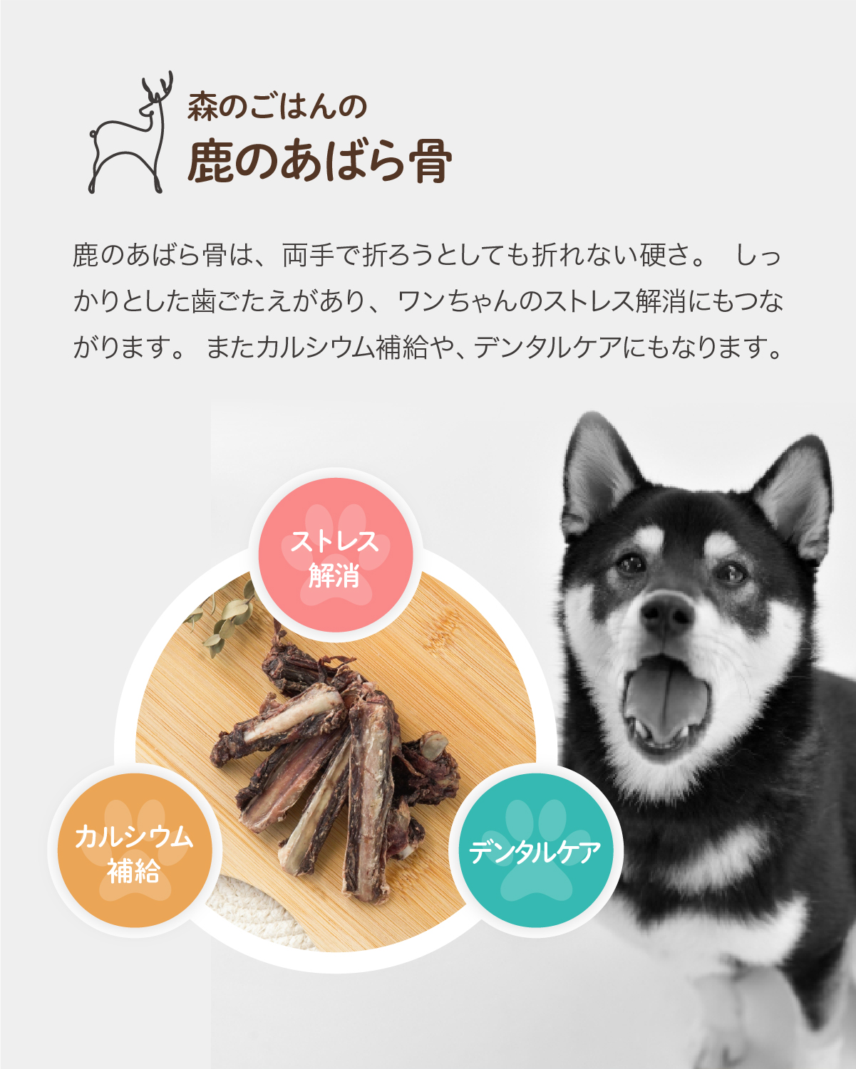 天然鹿のあばら骨｜犬用骨 歯磨きガム おやつとして ドッグフード 無添加デンタルボーン レッグボーン : eg-ribs : hykke(ヒュッケ)  - 通販 - Yahoo!ショッピング