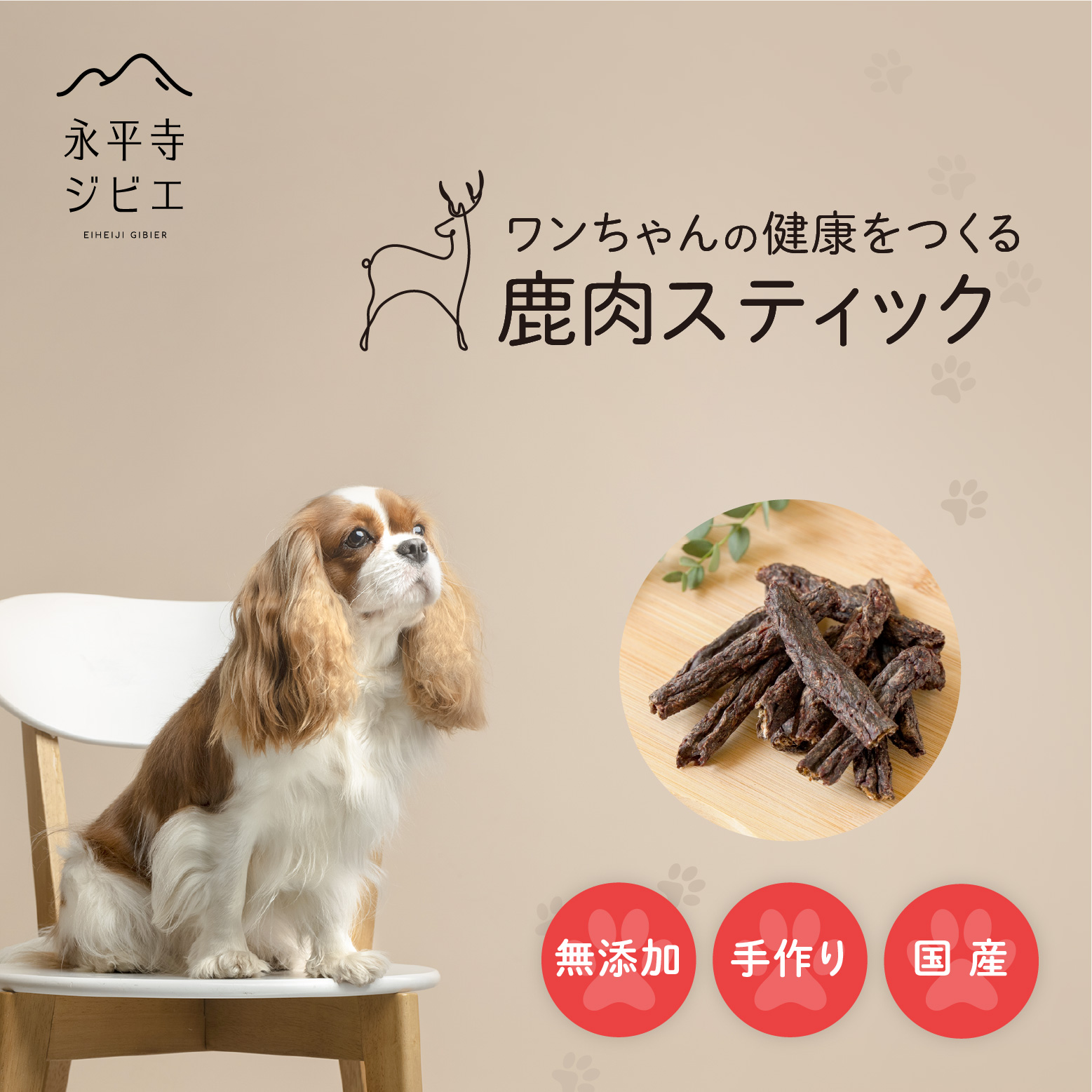 ドッグフード TEKETEKE ドッグフード サイエンスダイエット 犬 避妊去勢後 室内小型犬用