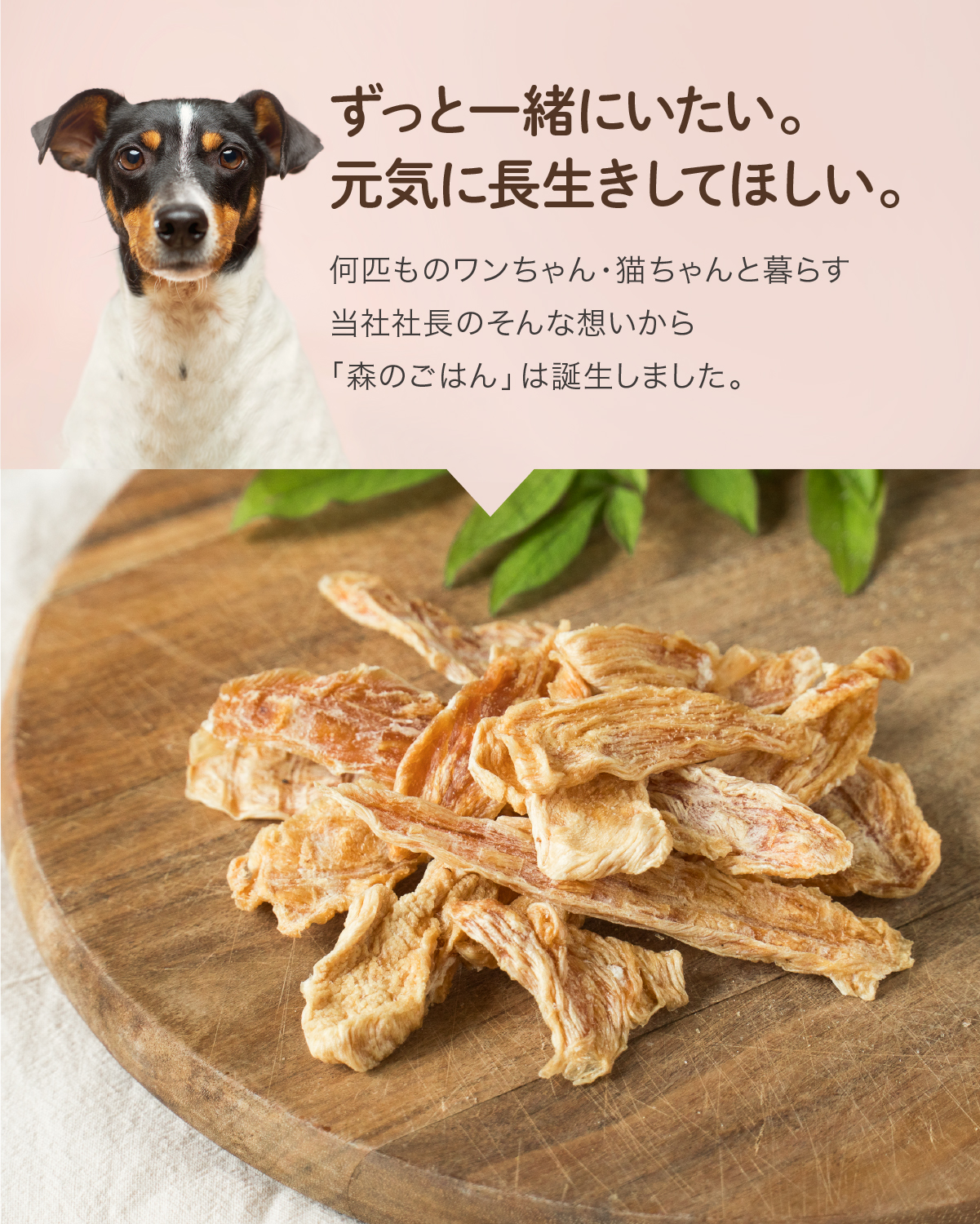 森のごはん】鶏ささみジャーキー（犬用おやつ） 無添加 国産 鶏 鶏肉