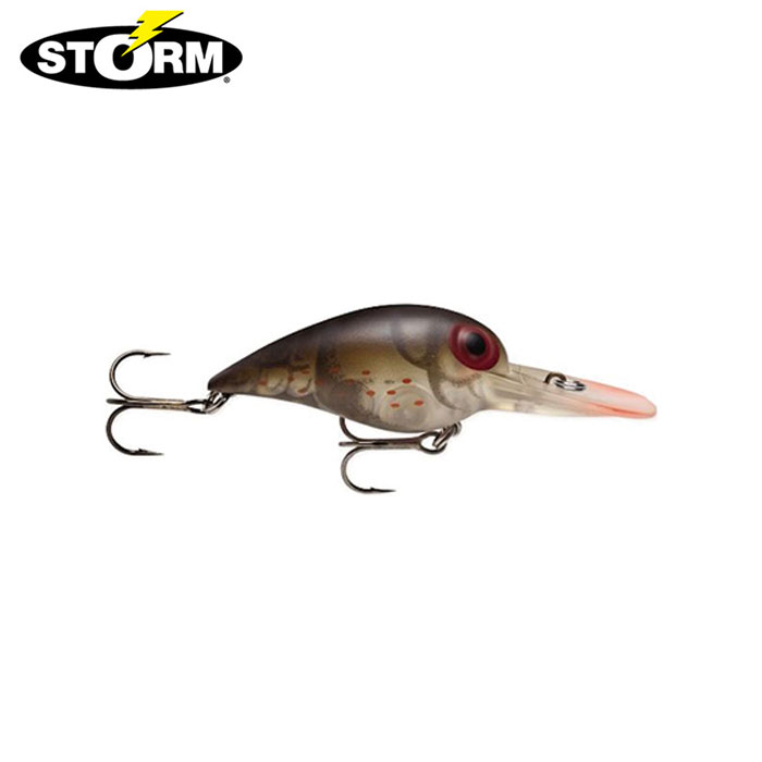 STORM（ストーム） ウイグルワート 【3】 : バックラッシュYahoo!店