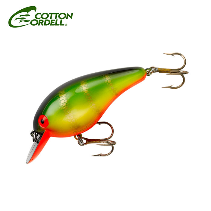 コットンコーデル ホットヘッドカラー4モデルセット コットンコーデル ホットヘッドカラー4モデルセット コットンコーデル