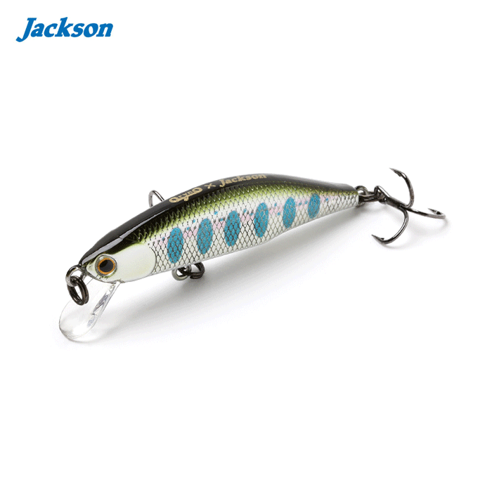Jackson（ジャクソン） 【全6色】ジャクソン メテオーラ52 : バック