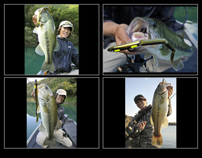 Megabass（メガバス） イーラ Megabass EELER : バックラッシュYahoo