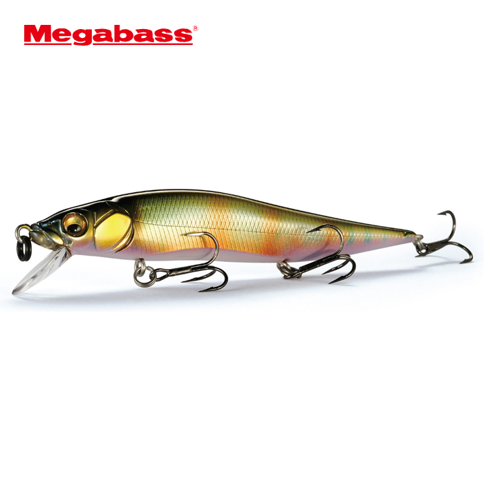 ワンテン　メガバス Megabass（メガバス） ヴィジョンワンテンジュニア【2】 : バック