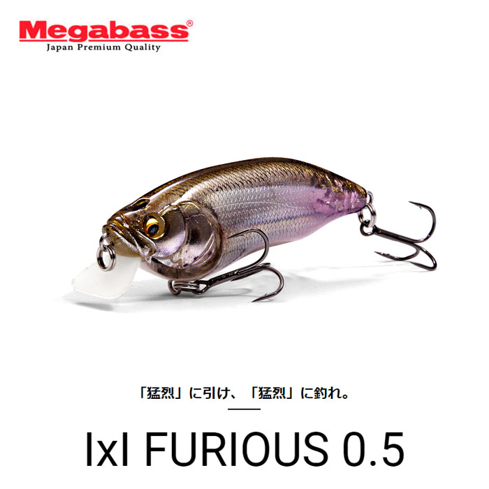 Megabass IXI FURIOUS メガバス イマカツ フューリアス 1 Megabass（メガバス） アイバイアイ フューリアス 0.5 : バック