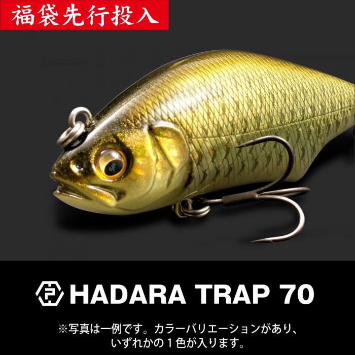 2026福袋】メガバス福袋 バスセット Ito ENGINEERING【2】 : バック