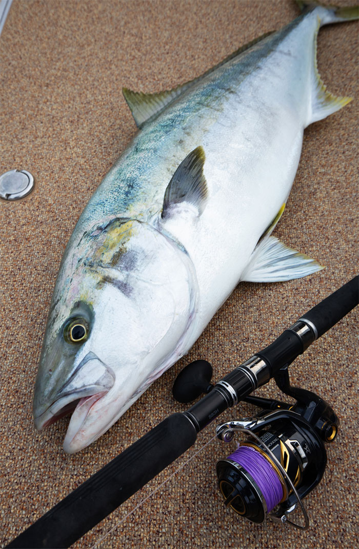 セール】バリバス アバニ キャスティングPE SMP ヒラマサチューン X8