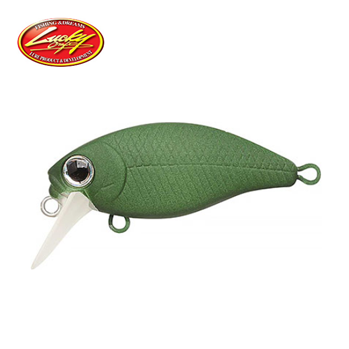 LUCKY CRAFT（ラッキークラフト） フラットクラピー SR : バック