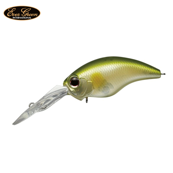 EverGreen（エバーグリーン） 【全20色】エバーグリーン