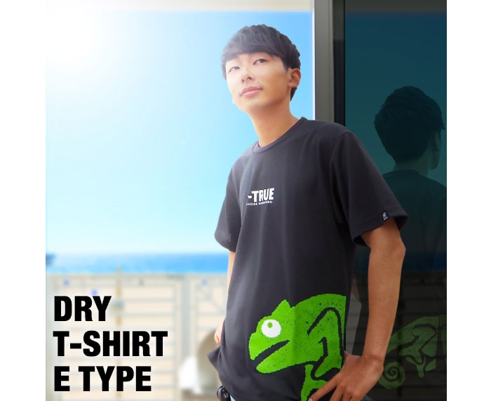 EverGreen エバーグリーン ビートゥルー ドライTシャツ Eタイプ