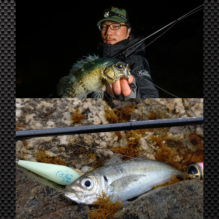 EverGreen（エバーグリーン） スペリオル マニューバー SPRS-84M-T