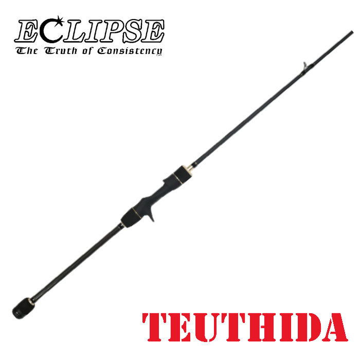 エクリプス エクリプス テウシーダ N155 ECLIPSE TEUSHIDA : バック