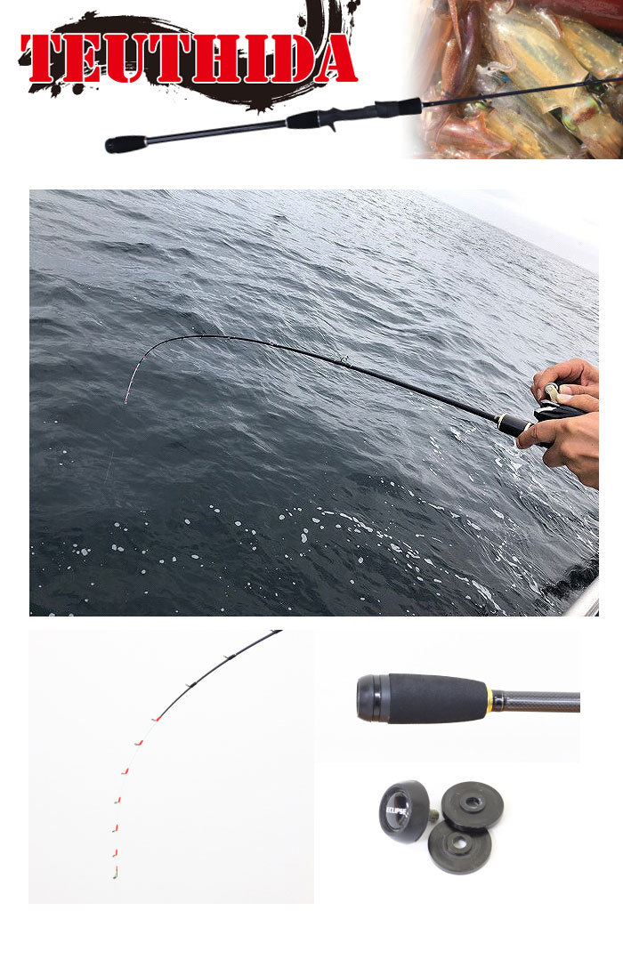 エクリプス エクリプス テウシーダ N155 ECLIPSE TEUSHIDA : バック