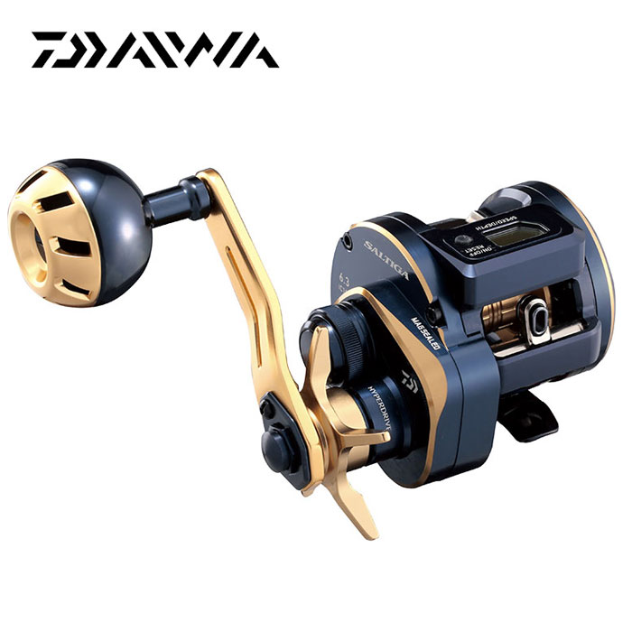ダイワ 21 ソルティガ SALTIGA IC 100 DAIWA DAIWA（ダイワ） '21 ソルティガ IC 100 (G) [90] : かめや釣具 - 通販