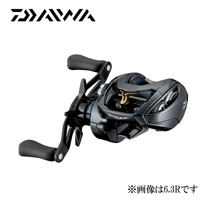 DAIWA（ダイワ） 22スティーズA TW HLC DAIWA STEEZ A TW HLC : バック