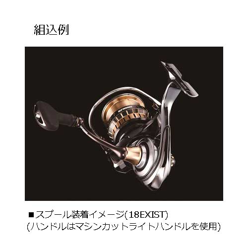 サイズ ダイワ スプール 18イグジスト 19セルテート バックラッシュpaypay店 通販 Paypayモール Daiwa スポーツ