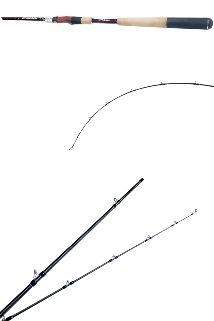 Fishman フィッシュマン ブリスト マリノ FBR-99H : バックラッシュ