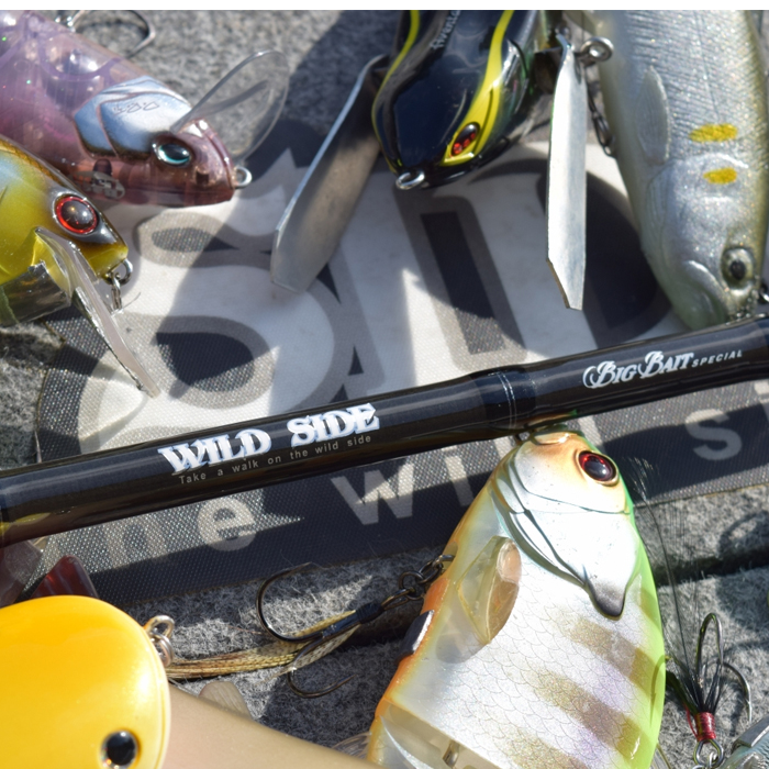 レジットデザイン ワイルドサイド WSC 64XH ビッグベイトSP : バック