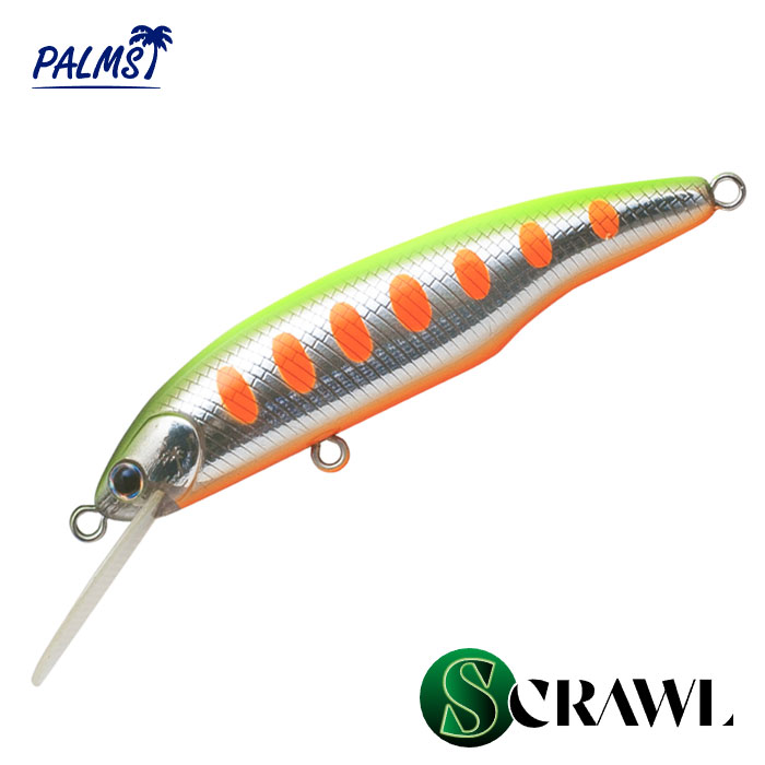 PALMS 【全15色】パームス エスクロール SC-65S PALMS : バック