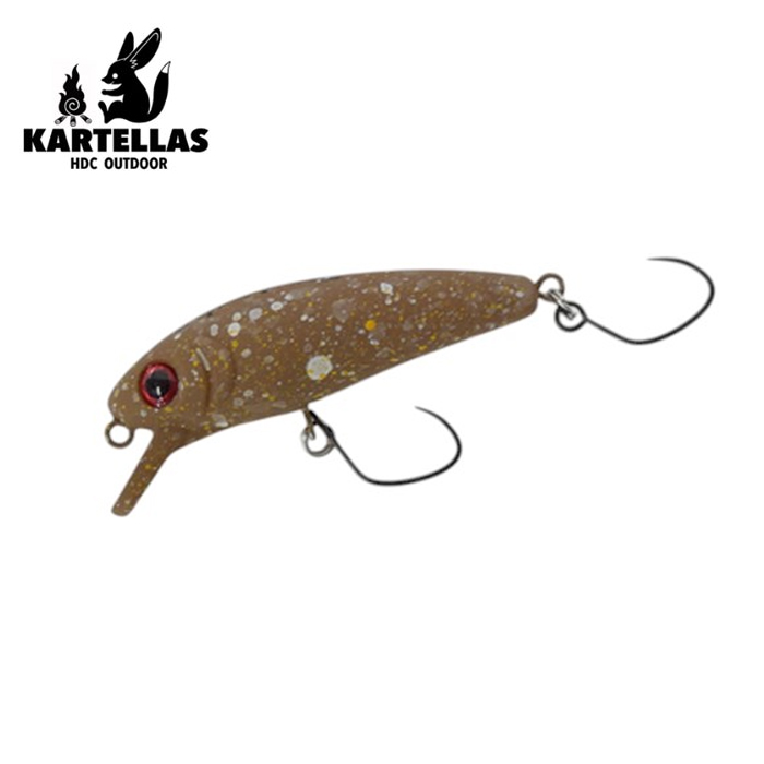 KARTELLAS（カルテラス） チェプラム 40HS 飛ばしカラー : バック