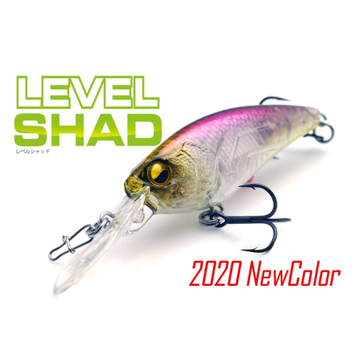 レイドジャパン レベルシャッド 2020Newカラー RAID JAPAN : バック