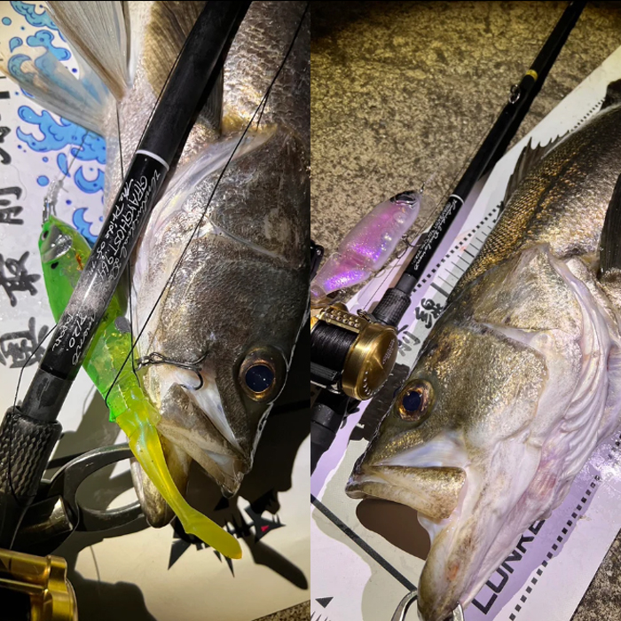 スタジオコンポジット グレイゴースト ナイトヘロン 92MH ID グレイゴースト ナイトヘロン 92MH （スタジオコンポジット