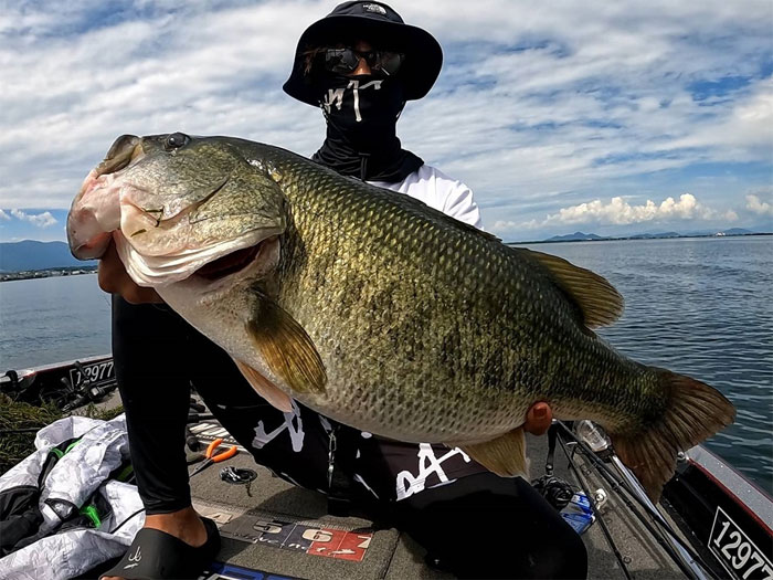 TULALA ツララ モンストロ 67MHC コンセプトD ピーター氏監修モデル