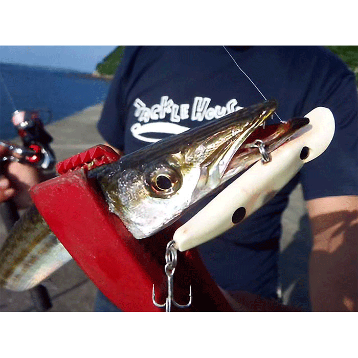 全8色】ゴーフィッシュ QPAカマサー 60 Go Phish : バックラッシュ