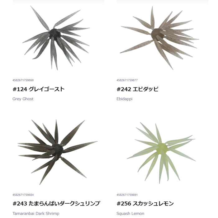 HIDEUP（ハイドアップ） コイケフィッシュ Mサイズ 17mm : バック