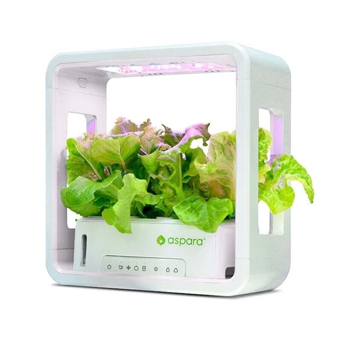 水耕栽培キット 通販 水耕栽培 野菜栽培 家庭菜園 屋内用水耕栽培 