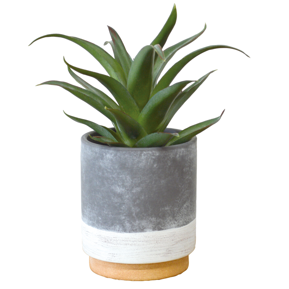 光触媒 フェイクグリーン 通販 観葉植物 人工観葉植物 ポット 光触媒 フェイクグリーン 通販 観葉植物 人工観葉植物 ポット