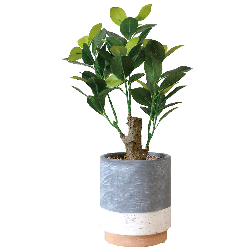 光触媒 フェイクグリーン 通販 観葉植物 人工観葉植物 ポット 光触媒 フェイクグリーン 通販 観葉植物 人工観葉植物 ポット