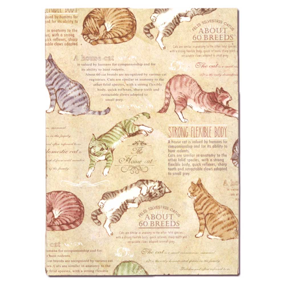 ブックカバー フリーサイズ 文庫 定番 a5 b6 四六判 単行本 読書 本 カバー タイベック フリーサイズブックカバー 文庫本カバー おしゃれ かわいい ブランド |  | 03