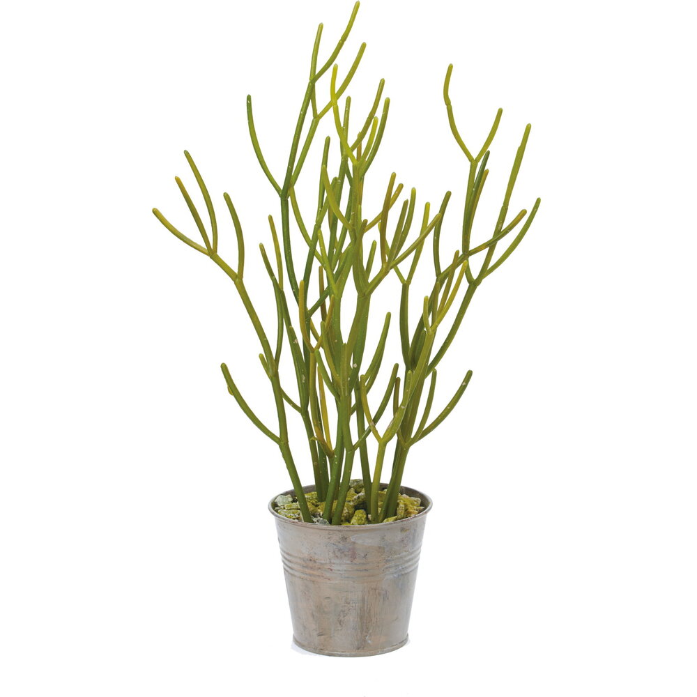 観葉植物 フェイク 大型 通販 フェイクグリーン ミルクブッシュ