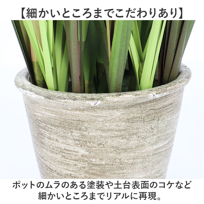 観葉植物 フェイク 大型 通販 フェイクグリーン ポンポングラス
