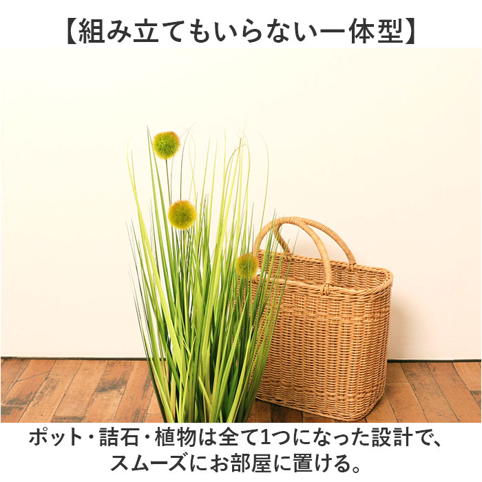 観葉植物 フェイク 大型 通販 フェイクグリーン ポンポングラス