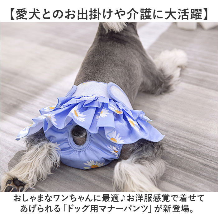 犬 マナーパンツ 女の子 通販 サニタリーパンツ 生理パンツ 犬用 イヌ いぬ ドックウェア 犬オムツ おむつ パンツタイプ おむつカバー フリル 犬服｜backyard-1｜11