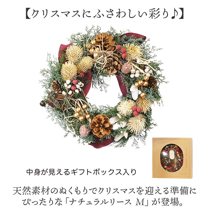 クリスマスリース 玄関 外 通販 リース ドア...の詳細画像1