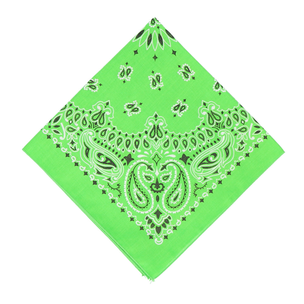 バンダナ 通販バンダナ 柄 ペイズリー柄 HAVAHANK ハバハンク HAV-A-HANK アウトドア 定番 米国製 TRADITIONAL PAISLEYS 正方形 ハンカチ |  | 17