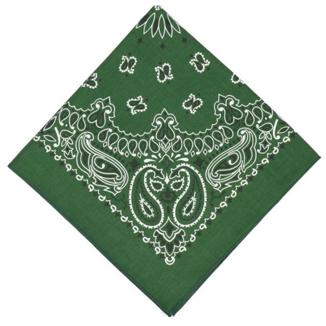 バンダナ 通販バンダナ 柄 ペイズリー柄 HAVAHANK ハバハンク HAV-A-HANK アウトドア 定番 米国製 TRADITIONAL PAISLEYS 正方形 ハンカチ |  | 10