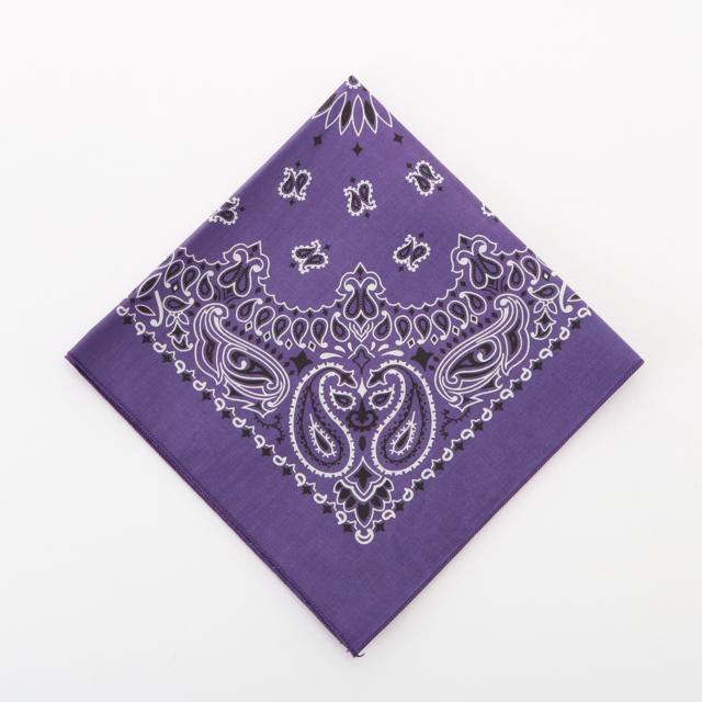 バンダナ 通販バンダナ 柄 ペイズリー柄 HAVAHANK ハバハンク HAV-A-HANK アウトドア 定番 米国製 TRADITIONAL PAISLEYS 正方形 ハンカチ |  | 06