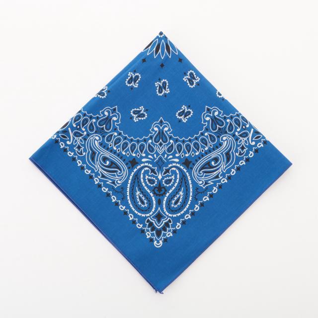 バンダナ 通販バンダナ 柄 ペイズリー柄 HAVAHANK ハバハンク HAV-A-HANK アウトドア 定番 米国製 TRADITIONAL PAISLEYS 正方形 ハンカチ |  | 05