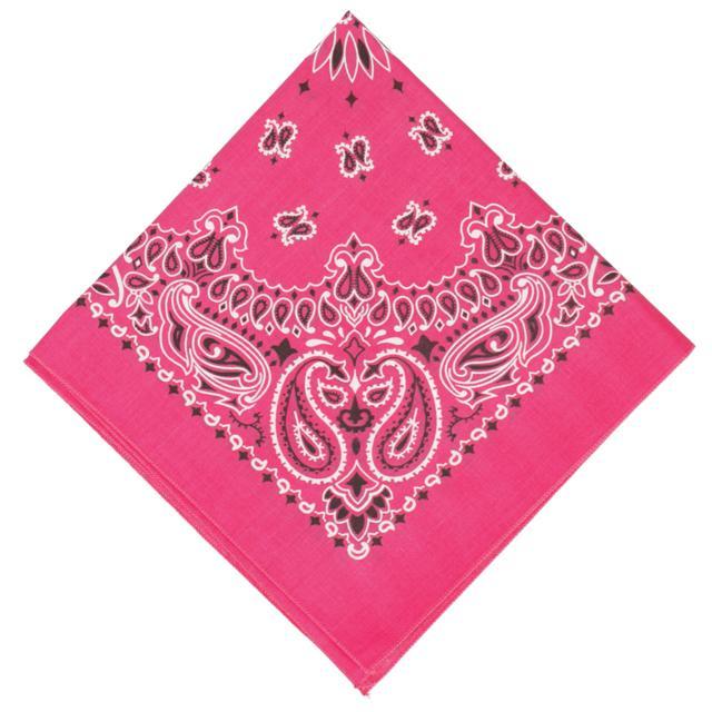 バンダナ 通販バンダナ 柄 ペイズリー柄 HAVAHANK ハバハンク HAV-A-HANK アウトドア 定番 米国製 TRADITIONAL PAISLEYS 正方形 ハンカチ |  | 11